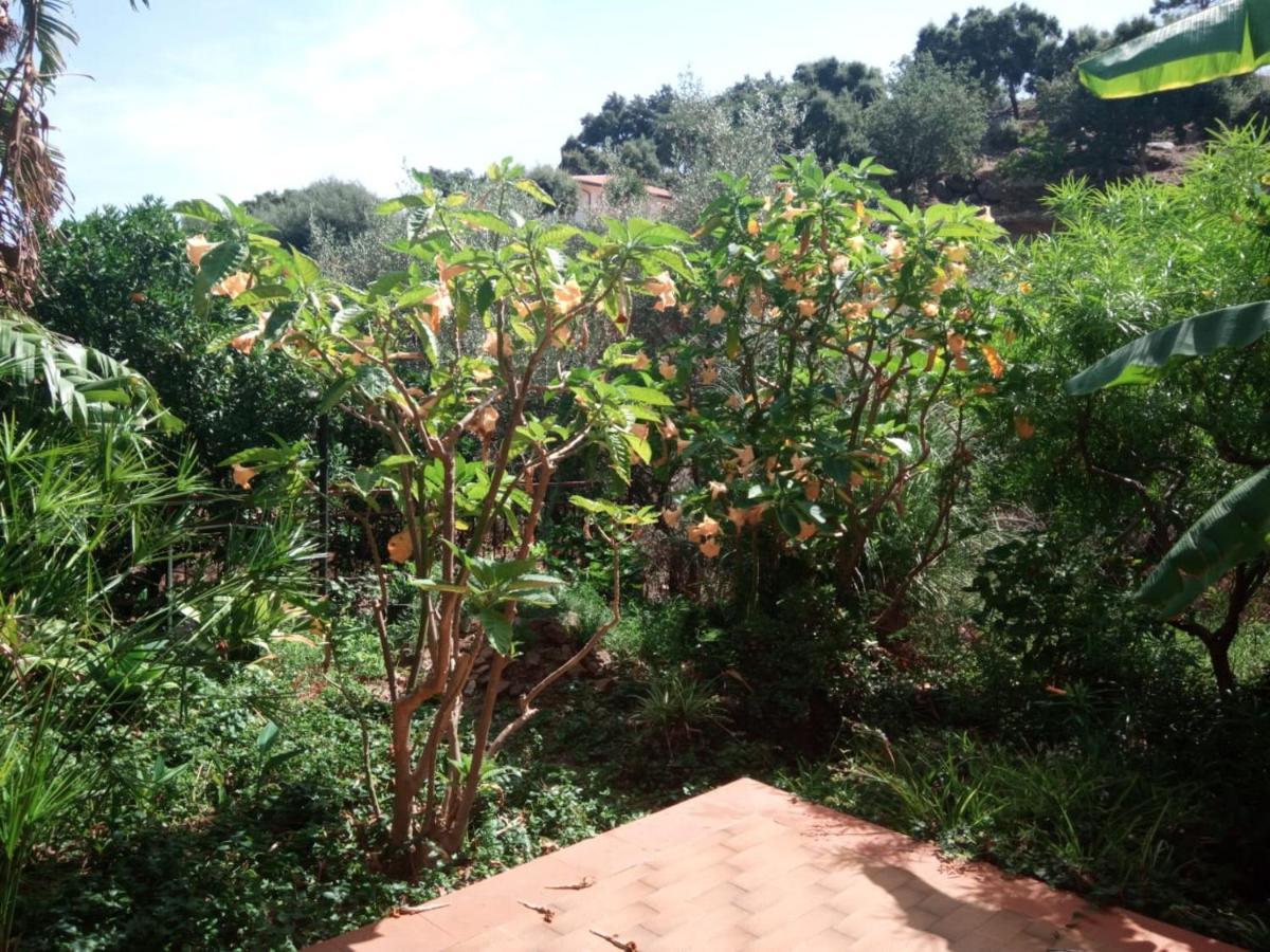 Stanza In Villa Con Giardino Vista Mare Cefalù Exterior foto
