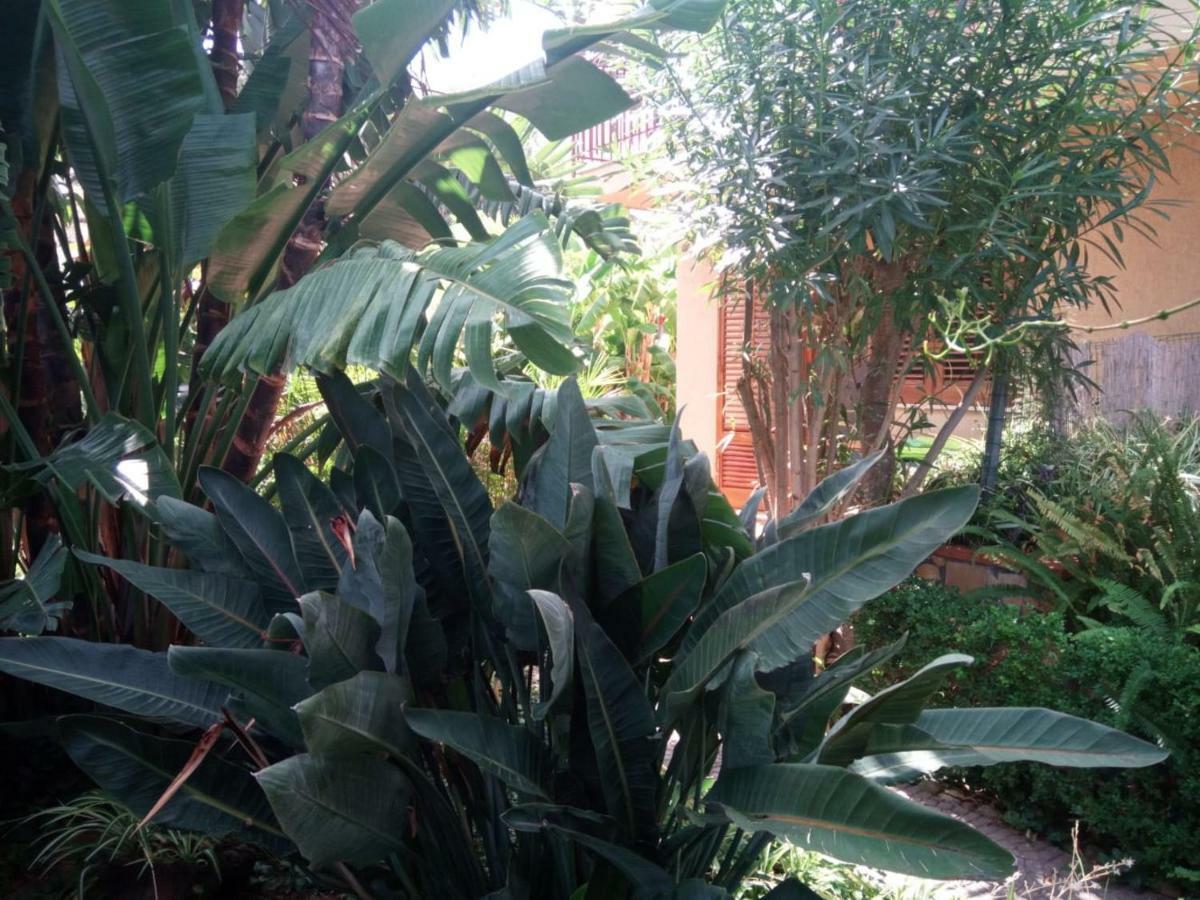 Stanza In Villa Con Giardino Vista Mare Cefalù Exterior foto
