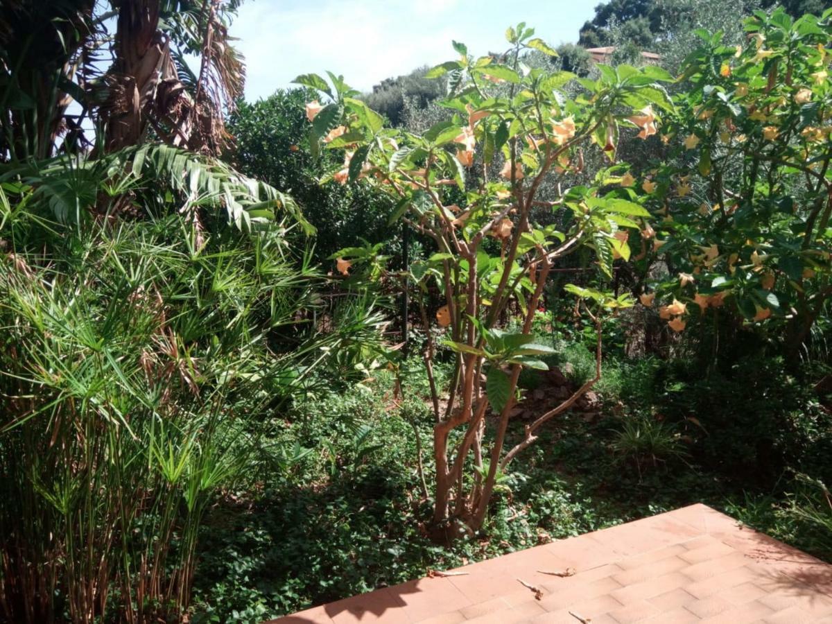 Stanza In Villa Con Giardino Vista Mare Cefalù Exterior foto